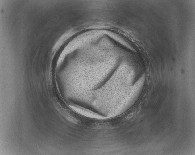 X0000080180296200612221322