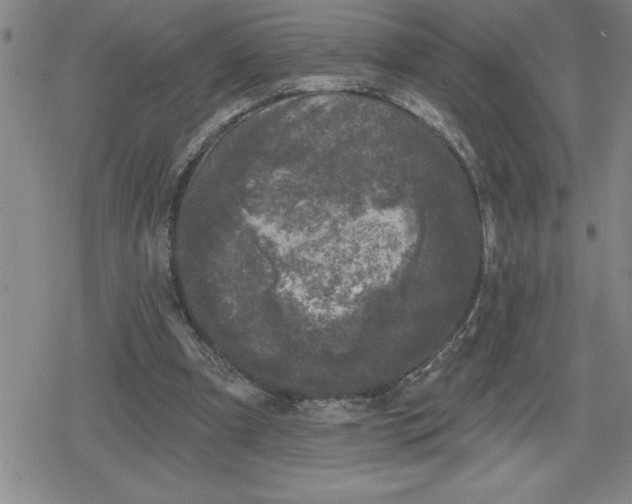 X0000080180297200612221322