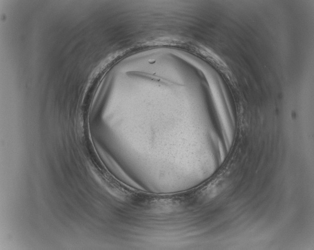 X0000080180298200612221322