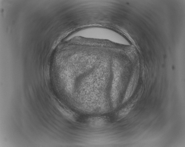 X0000080180299200612221322