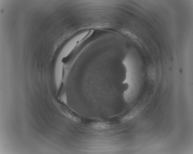 X0000080180303200612221322