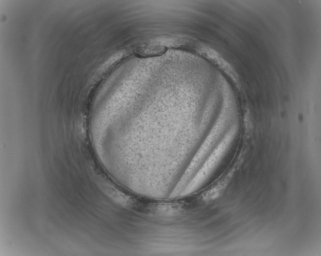 X0000080180305200612221322