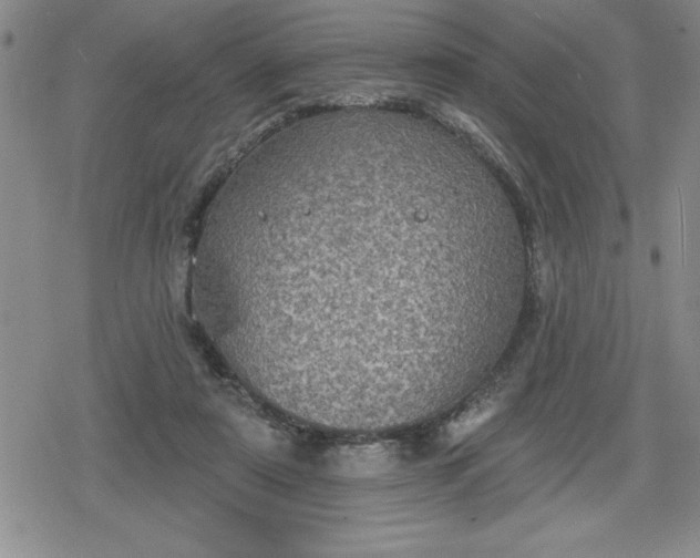 X0000080180307200612221322