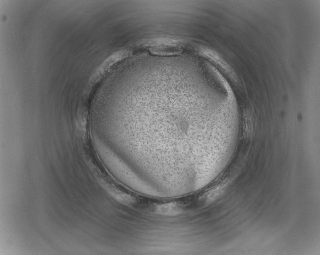 X0000080180309200612221322