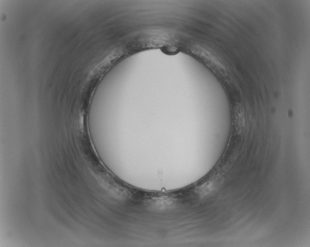 X0000080180310200612221322