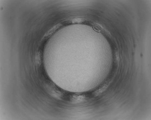 X0000080180311200612221322