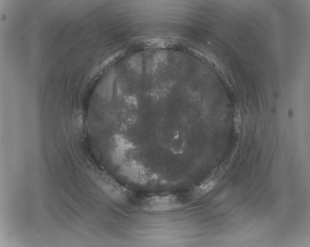 X0000080180314200612221322