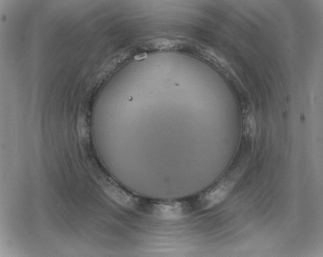 X0000080180317200612221322