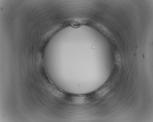 X0000080180318200612221322