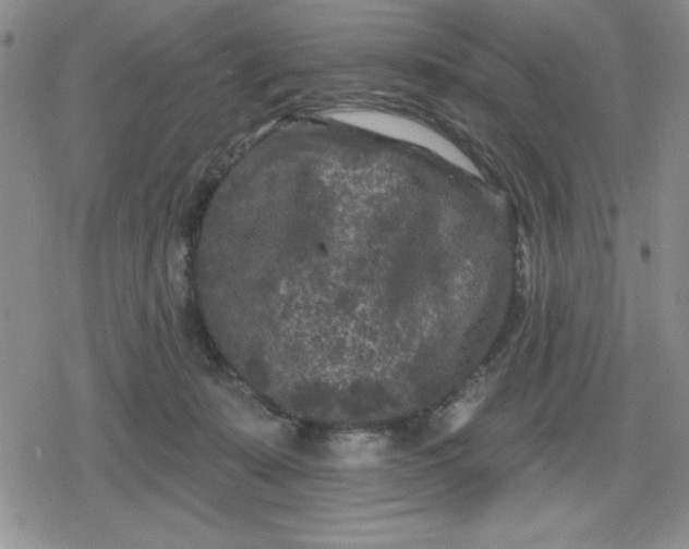 X0000080180319200612221322