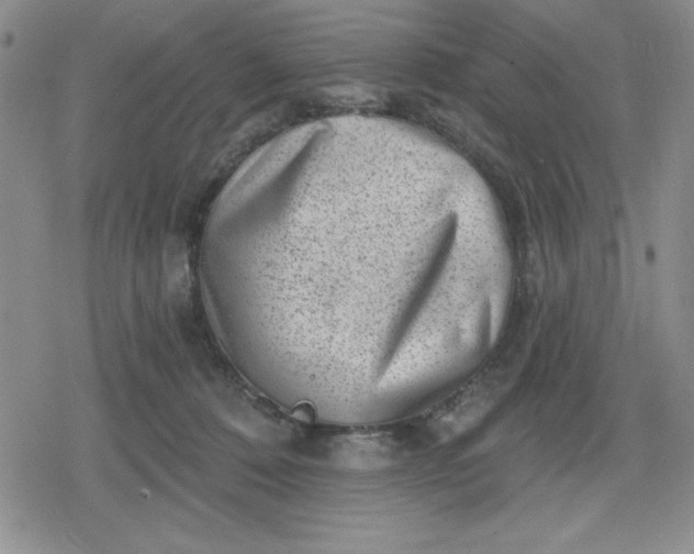 X0000080180320200612221322