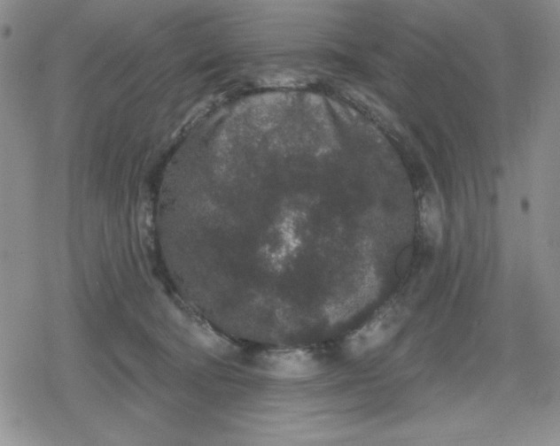 X0000080180322200612221322