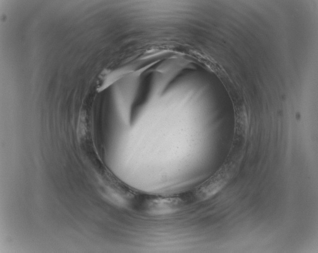 X0000080180323200612221322