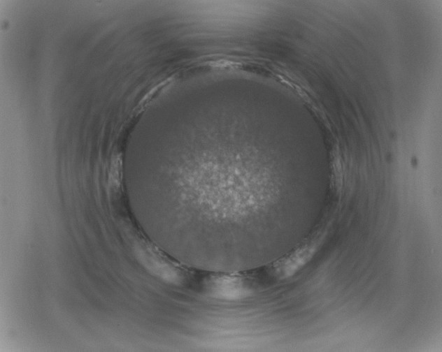 X0000080180325200612221322