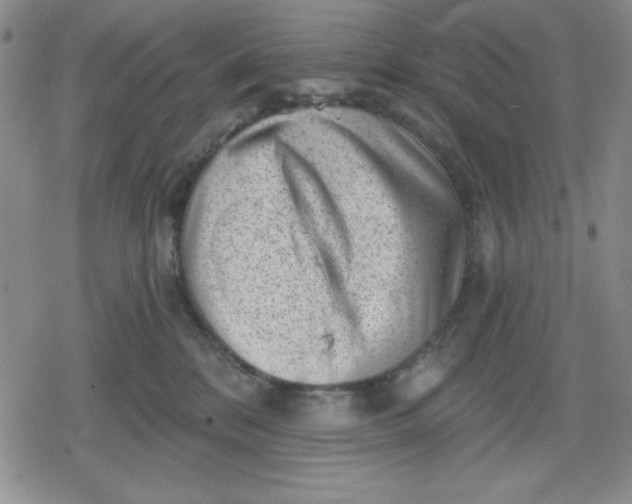 X0000080180328200612221322