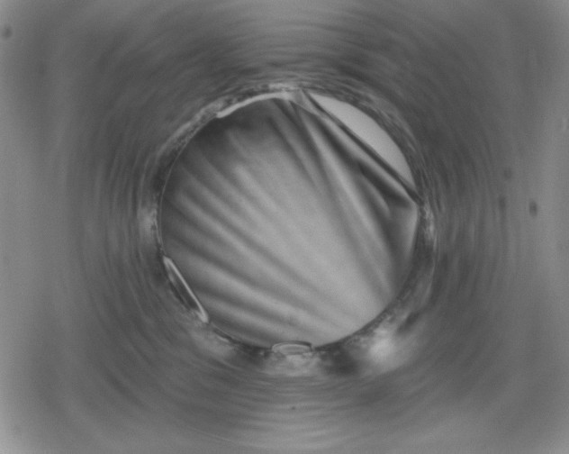 X0000080180329200612221322