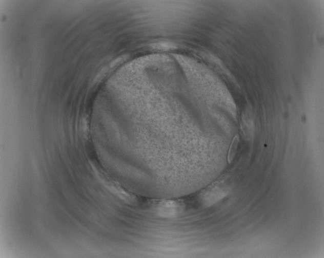 X0000080180330200612221322