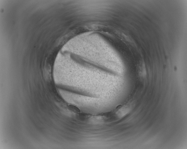 X0000080180332200612221322