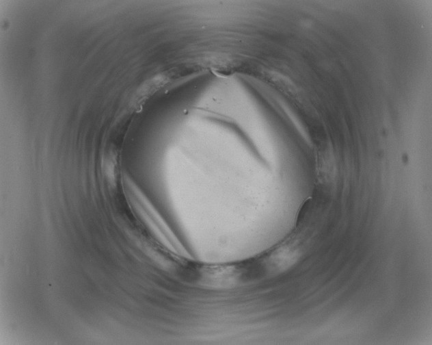 X0000080180334200612221322