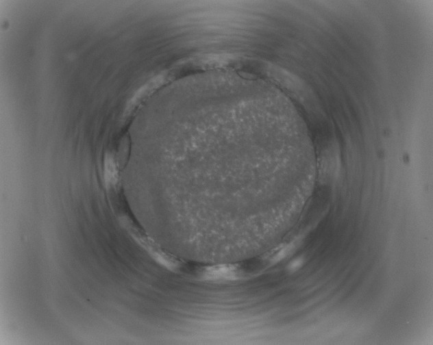 X0000080180335200612221322