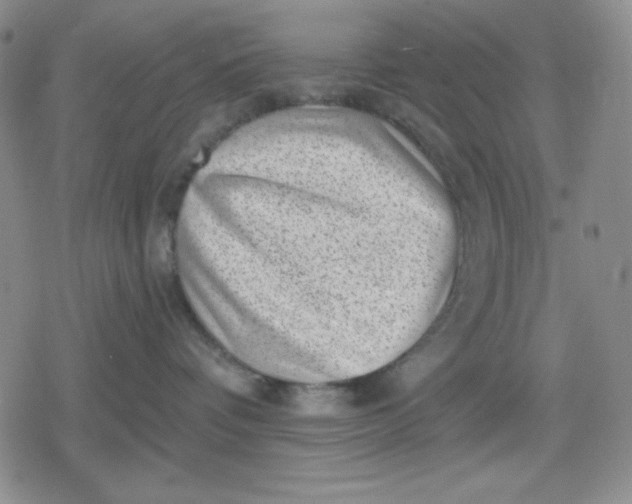 X0000080180336200612221322