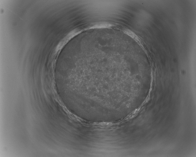 X0000080180337200612221321