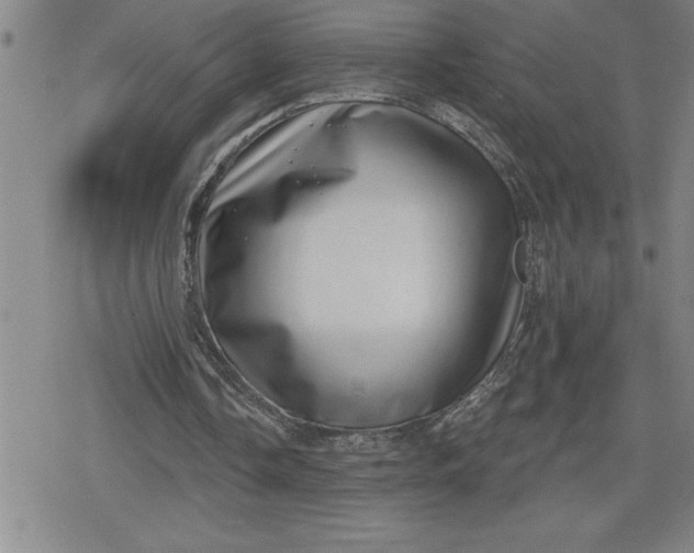 X0000080180338200612221321