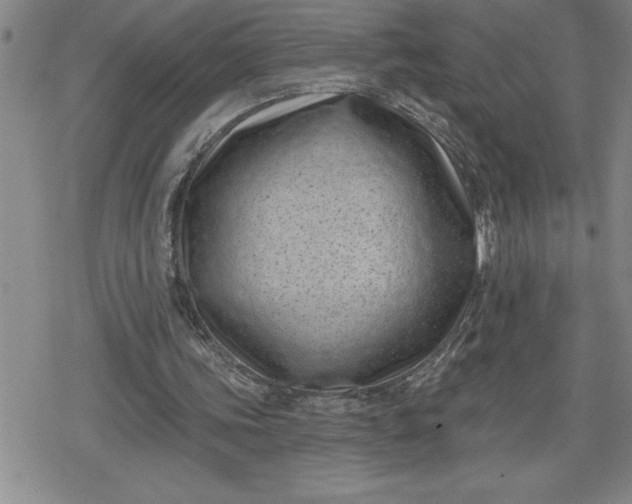 X0000080180339200612221321