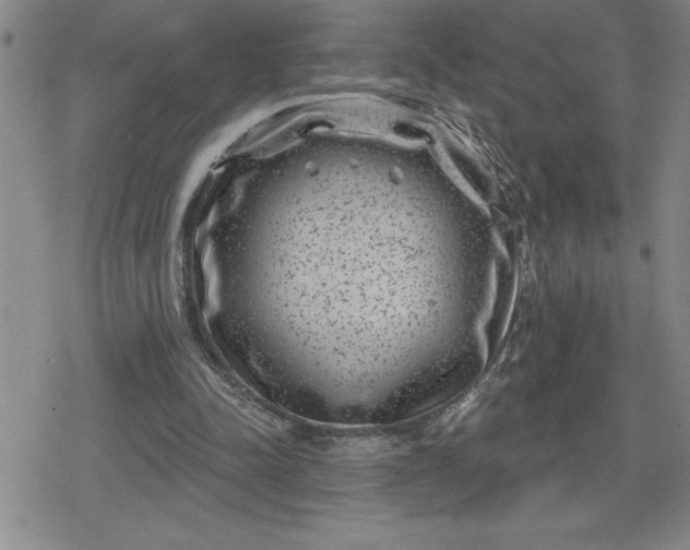 X0000080180342200612221321