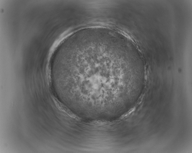 X0000080180343200612221321