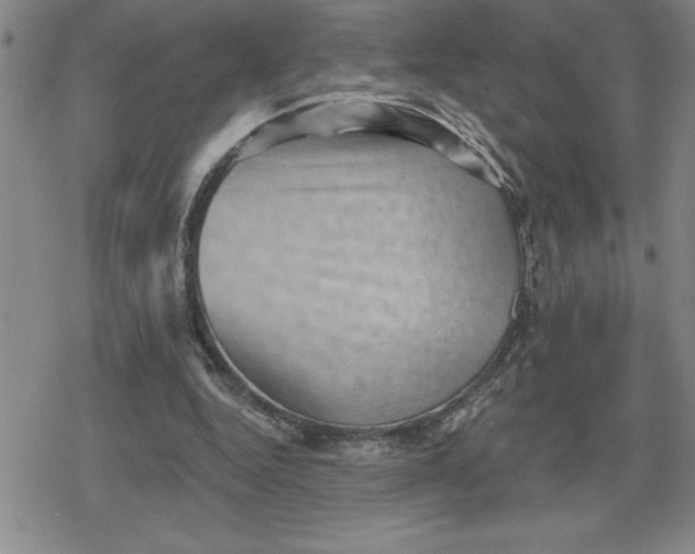 X0000080180344200612221321