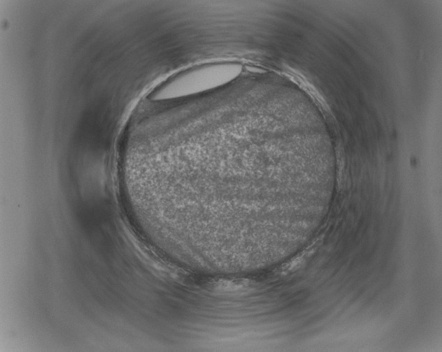 X0000080180346200612221321