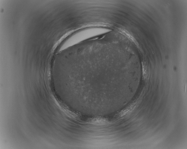 X0000080180348200612221321