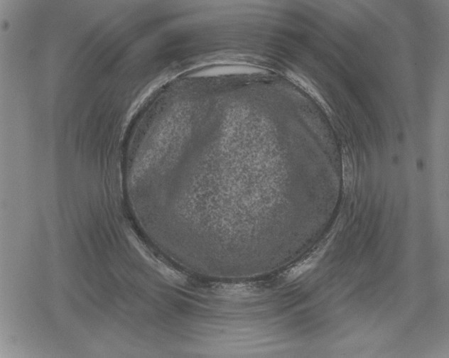 X0000080180349200612221321