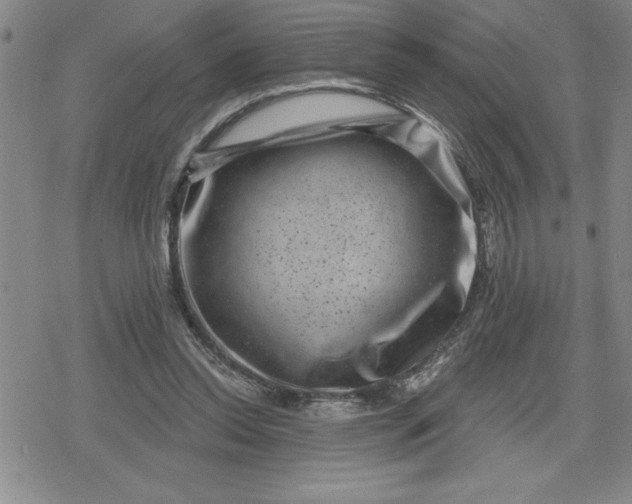 X0000080180350200612221321