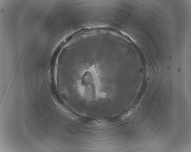 X0000080180351200612221321