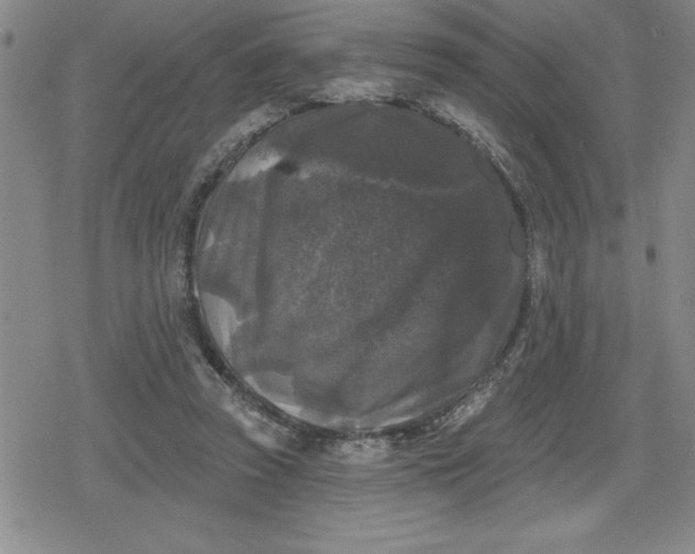 X0000080180353200612221321