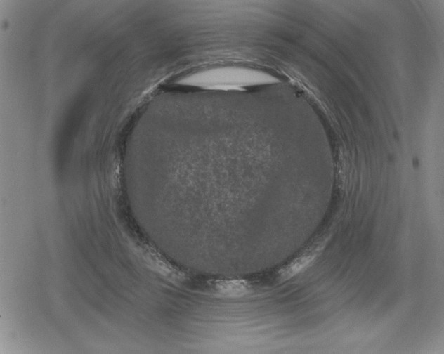 X0000080180355200612221321