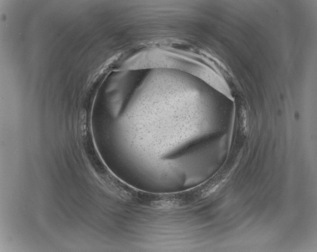 X0000080180356200612221321