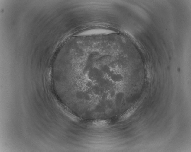 X0000080180357200612221321