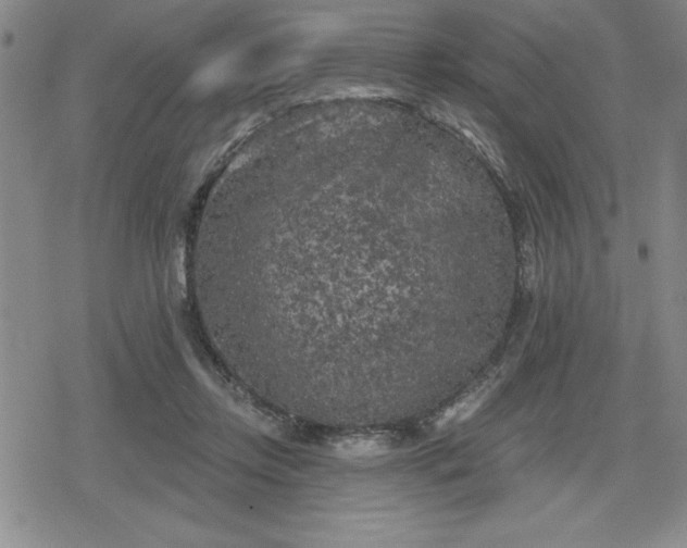 X0000080180358200612221321