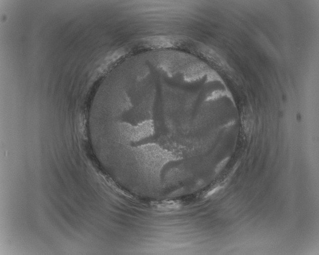 X0000080180359200612221321