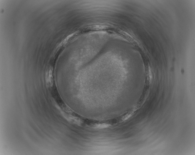 X0000080180360200612221321