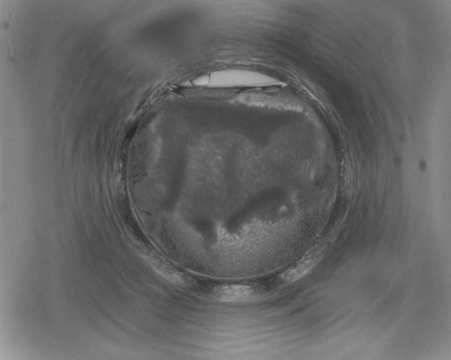 X0000080180361200612221321