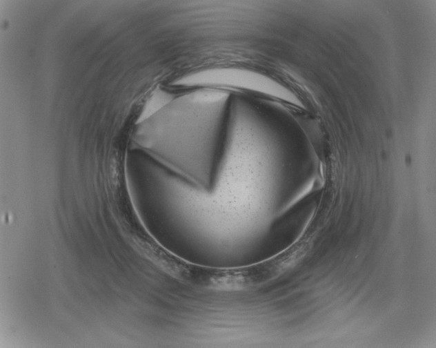 X0000080180362200612221321