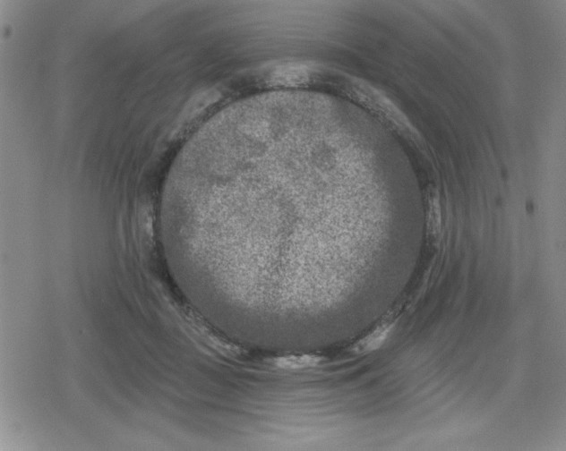 X0000080180363200612221321