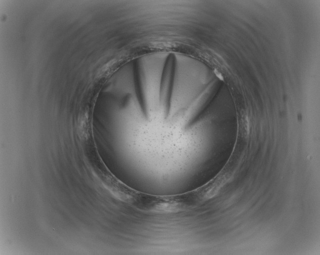 X0000080180364200612221321