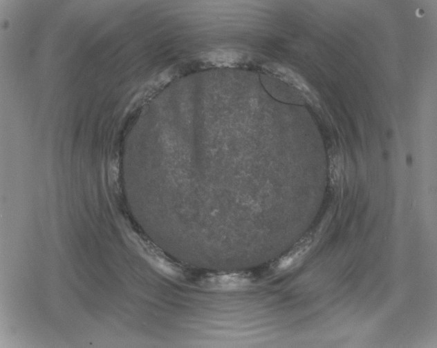 X0000080180365200612221321