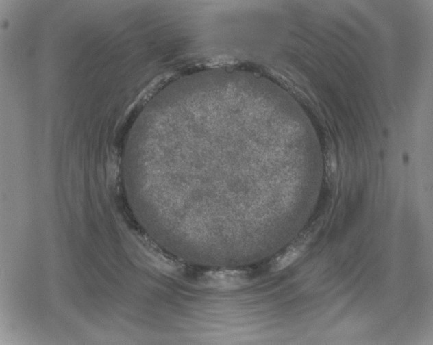 X0000080180367200612221322