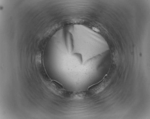 X0000080180368200612221322